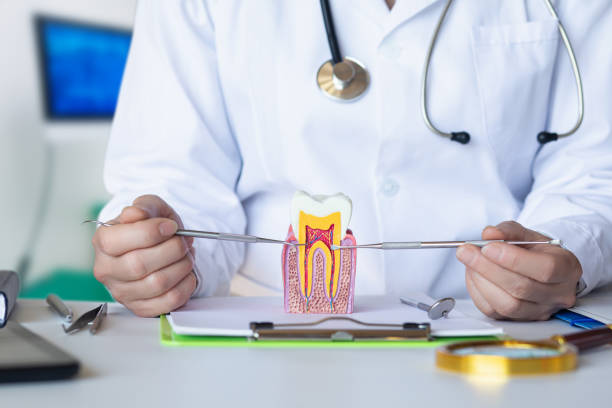Best Emergency Denture Repair in Springdale, NC